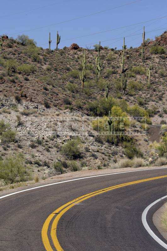 Desert landscape around scenic route, Saguaro Cacti