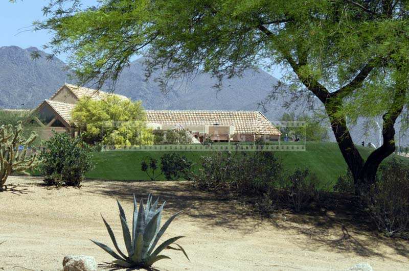 the shade of a mesquite tree and club house in distance