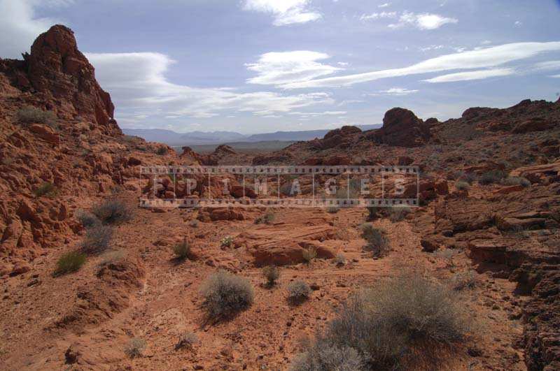 Desert Landscape of the Park