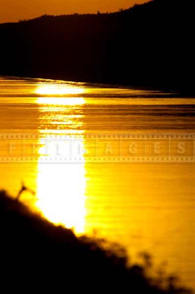 Bright yellow sun water reflection, Central Arizona Canal