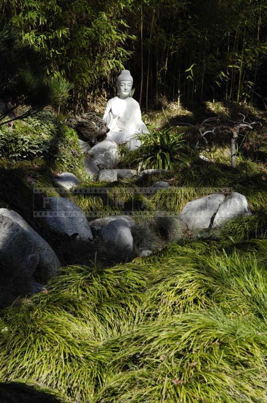 Statue of Buddha at the Retreat