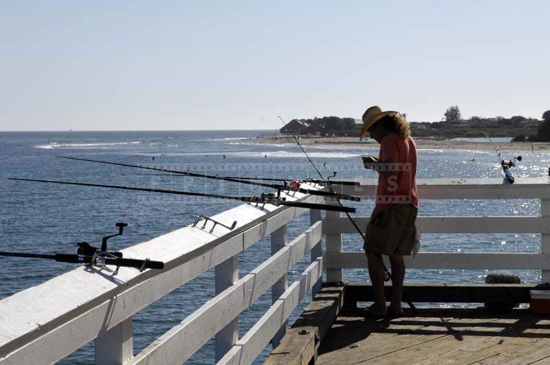 a man fishing on a nice day