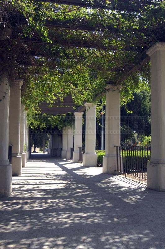 Green walkways of the nearby park grounds, cityscape