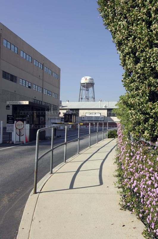 Pink Flowers besides the Studio Building