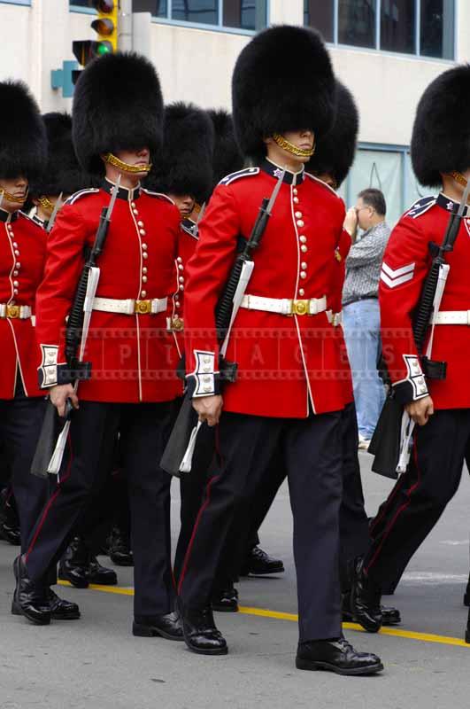 Military with guns and bearskin hats at the parade