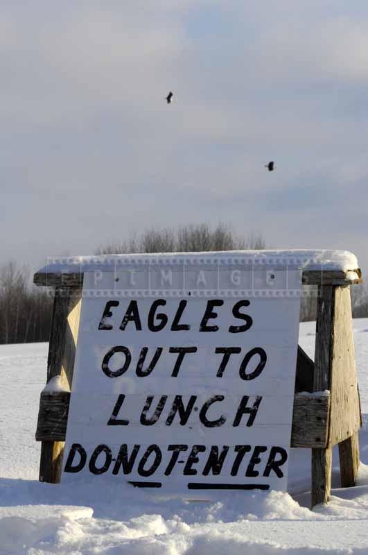 Sign at the eagle feeding field