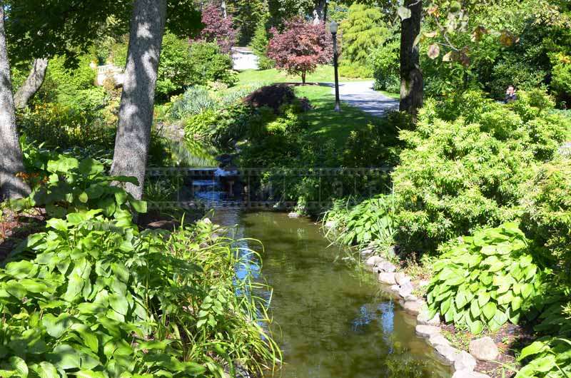 A brook in the park