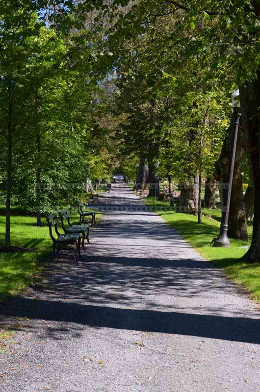 Pathway through the gardens