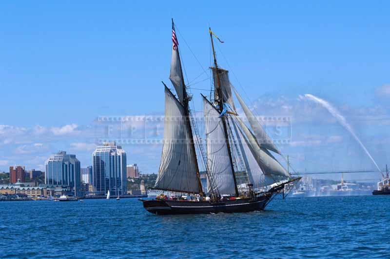 Tall ships display their beauty at Parade of Sail in Halifax Harbour