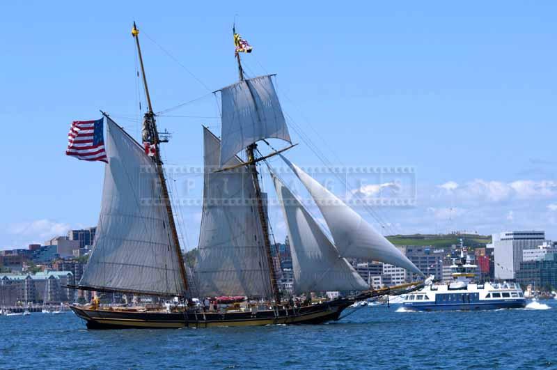 Schooner Pride of Baltimore II and Halifax Ferry, Halifax travel images