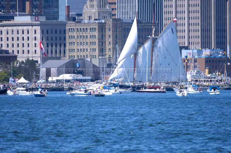 Bluenose sailing by the Maritime Museum waterfront full of spectators, Parade of Sail