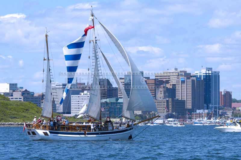 Tall ships display their beauty at Parade of Sail in Halifax Harbour