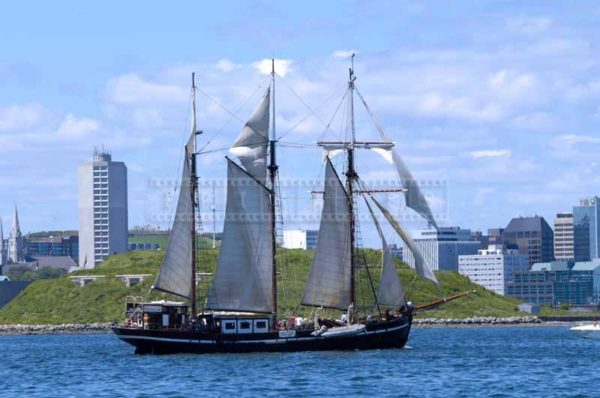 Tall ships display their beauty at Parade of Sail in Halifax Harbour