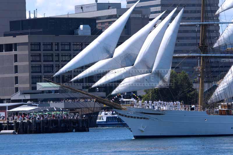 Barque Cisne Branco crew salutes spectators, sailing photos