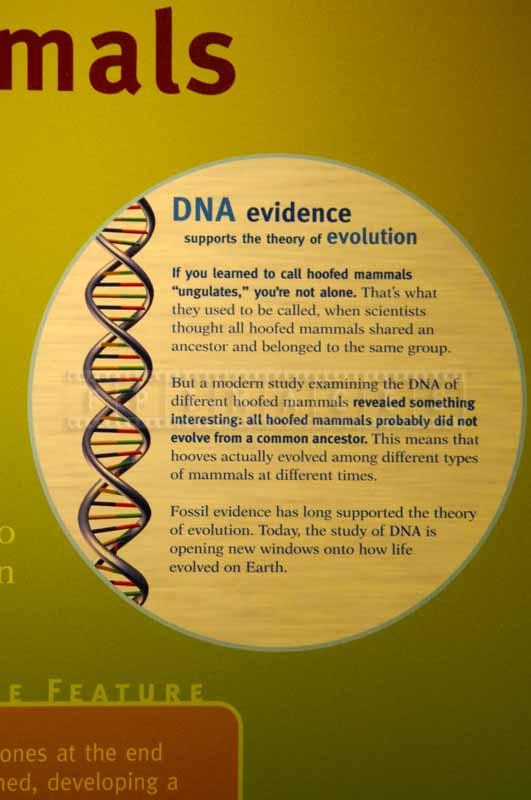 DNA evidence explanation information board