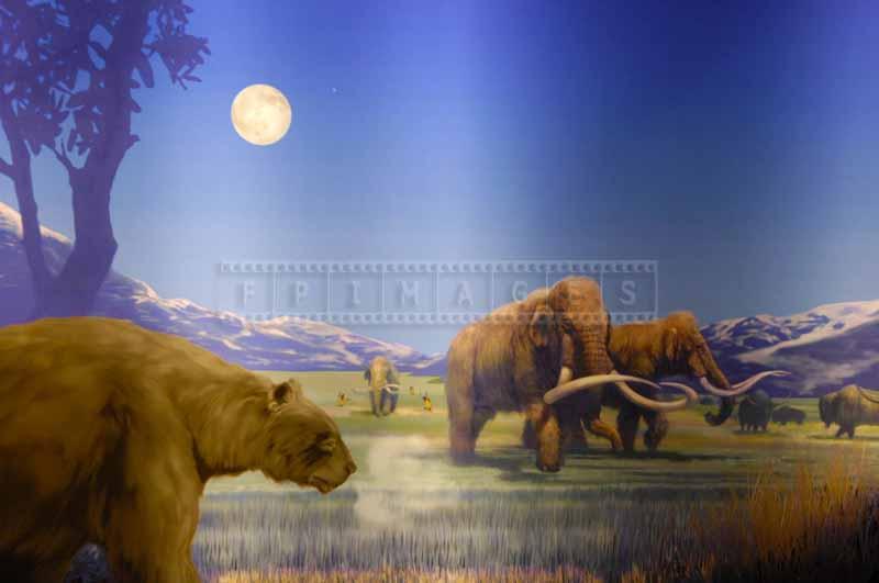 Mammoths and other animals in diorama of ancient world, pictures of animals