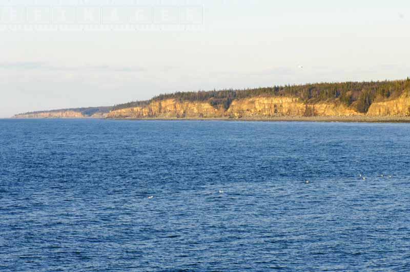 Bay of Fundy shores