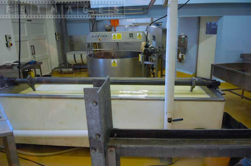 Cheddar cheese production