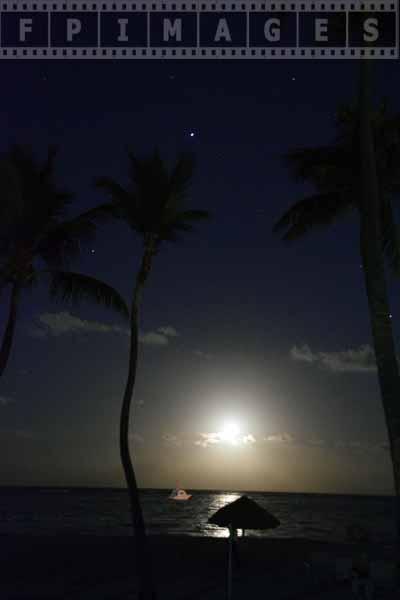 Tropical island night landscape