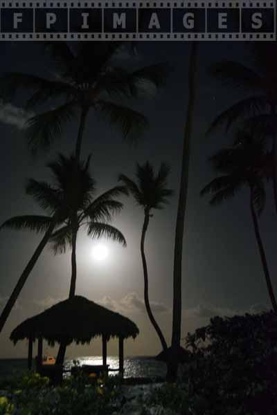 caribbean night landscape with full moon