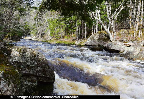 NS hiking trail with waterfall, Millet Falls