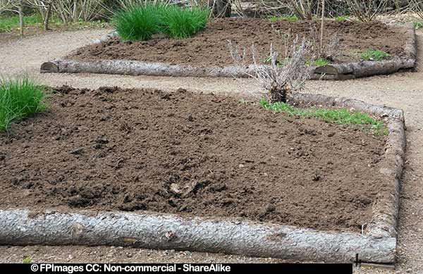 Acadian homes always had potager gardens, travel images