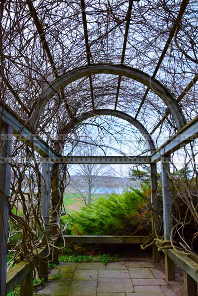 Vine covered trellis spring in botanical gardens