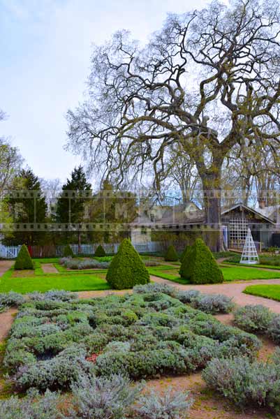 Knot Garden represents english garden layout, spring images