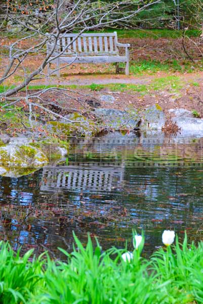 a bench near a pond in the gardens