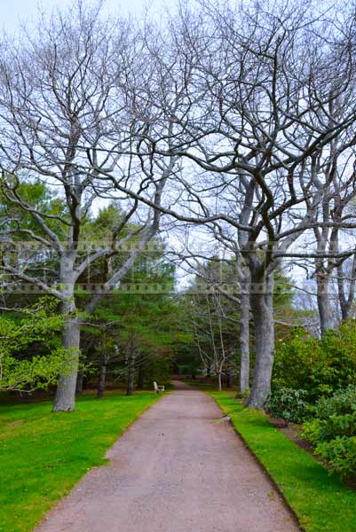 Serene landscape of the gardens in the spring