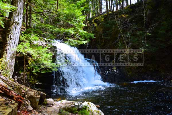 Waterfall picture, Dawson Brook