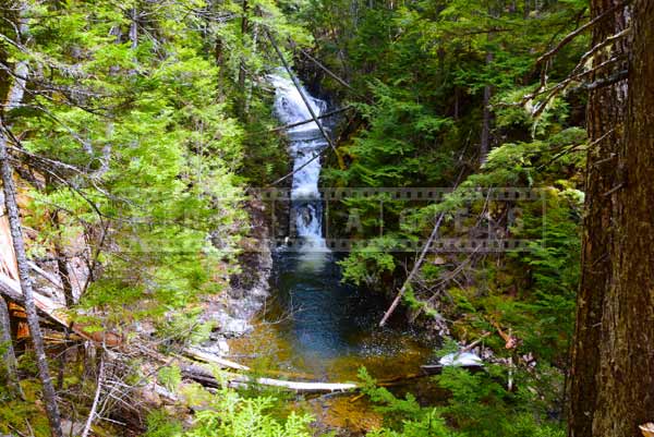 Panoramic landscape, waterfall in the forest, nature pictures