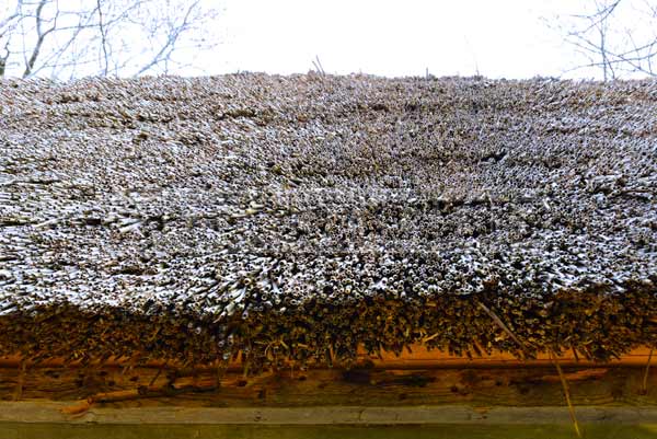 Acadian house thatched roof close image, eco friendly roof