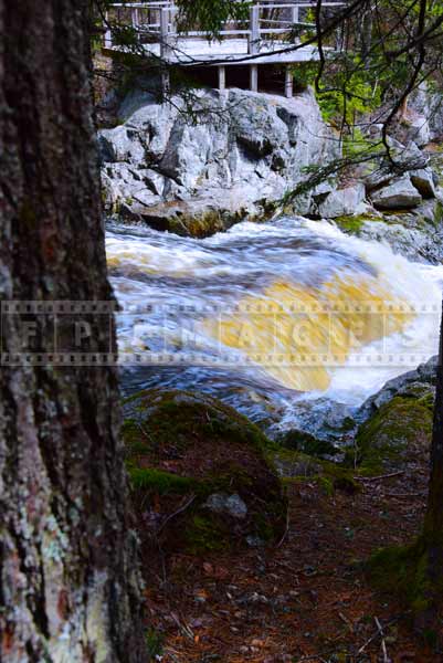 Waterfall picture of Millet Falls