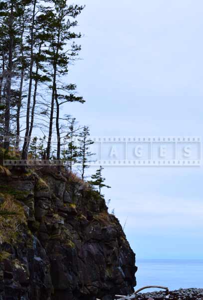 Bay of Fundy Bohaker Cove, nature pictures