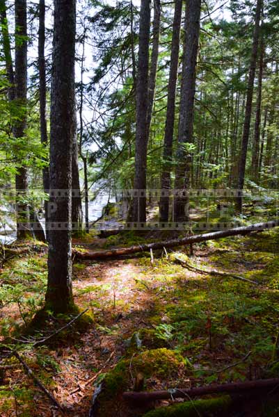 Outdoor adventure hiking trail near the river