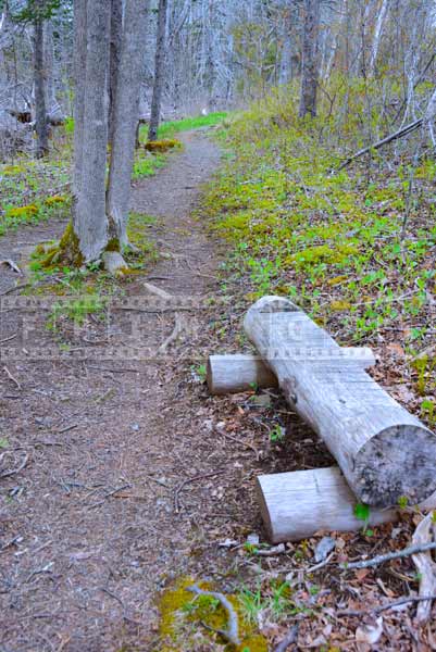 Log Bench at hiking trail, travel images