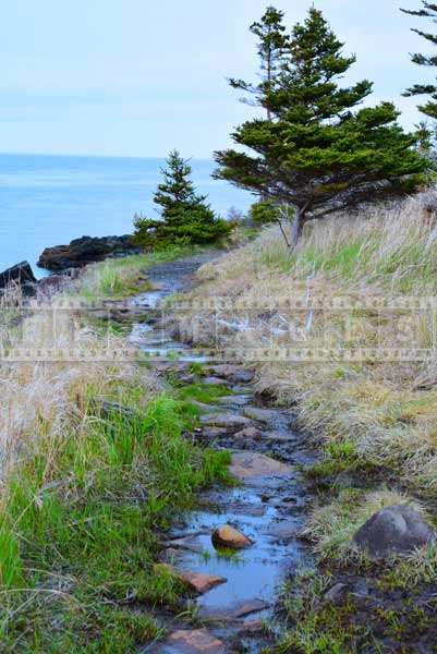 Scenic hiking trail, landscape photography for travel images