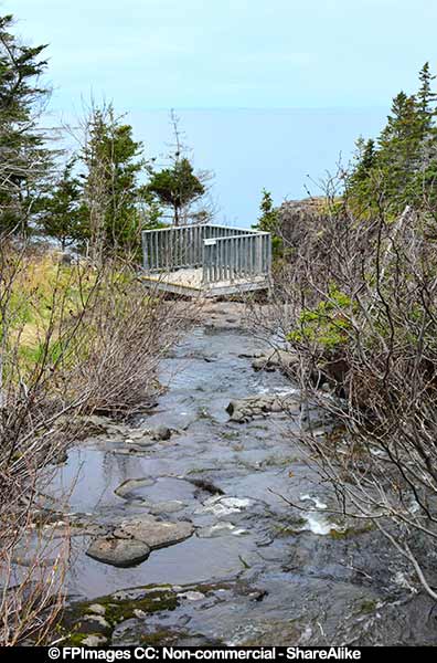 Stream just before the waterfall, Delaps Cove, free image