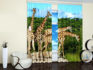 Pictures of animals decorate walls