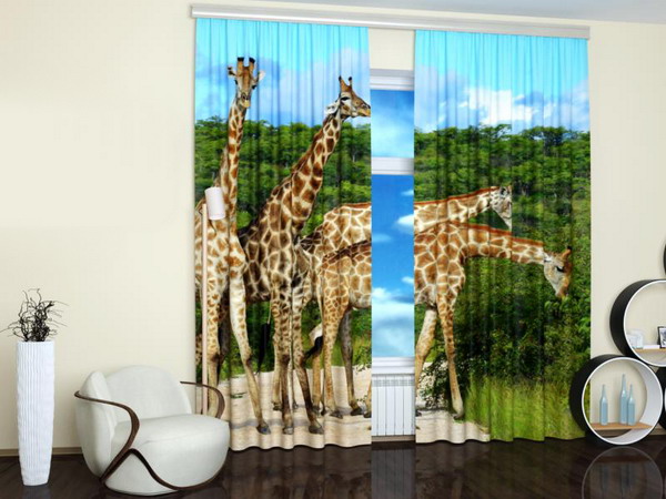 Pictures of animals decorate walls