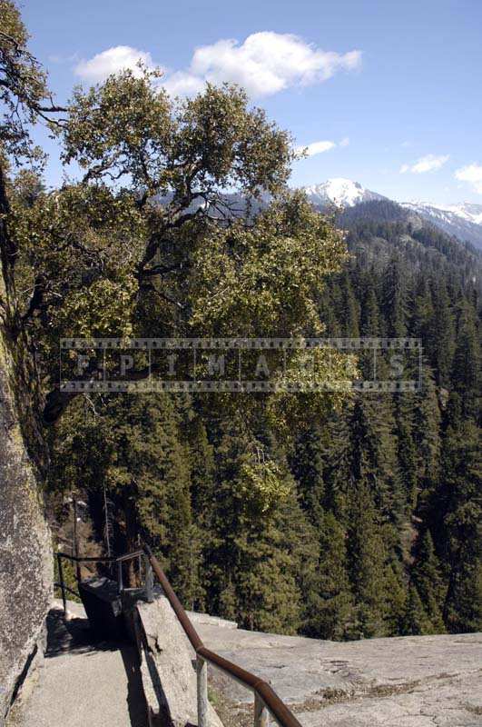 Steep hiking trail to Moro rock with some oak trees, travel images