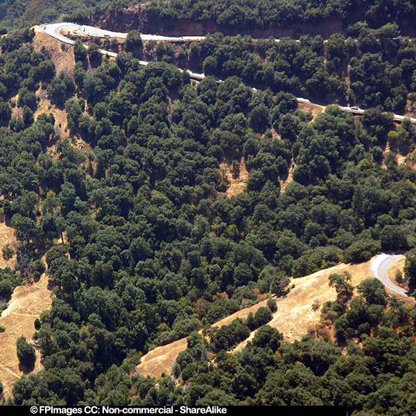 Twisting and climbing road with hairpin turns approaching Sequoia Forest