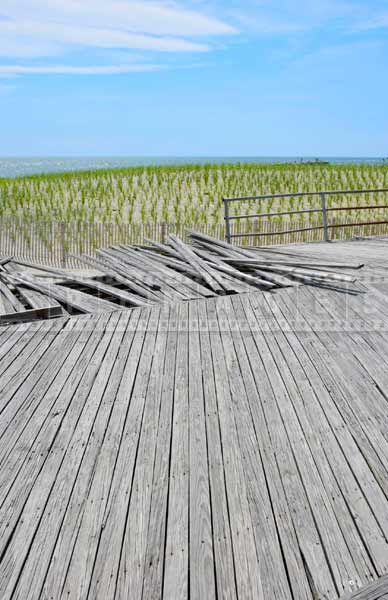 atlantic city boardwalk in need of repair and sand dunes protected with young vegetation