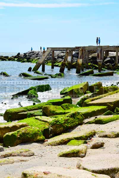 Hurricane damage to the shore structures