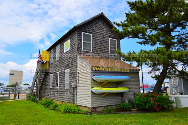 Beach stuff store and beautiful pine tree at Garnders Basin