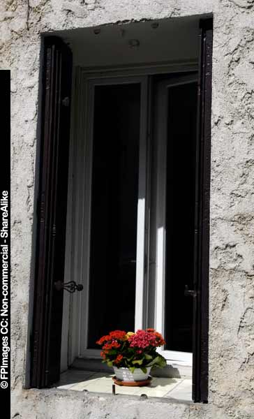 European window with a blooming flower