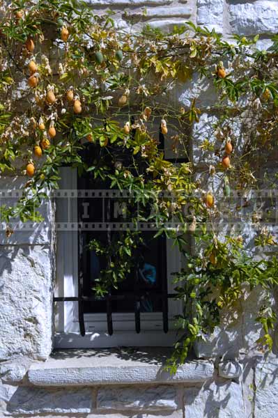 pictures of buildings european windows decoration, france