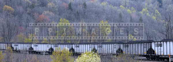 Freight train with coal and surrounding nature in the spring, industrial images