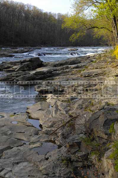 Youghiogheny River in the spring